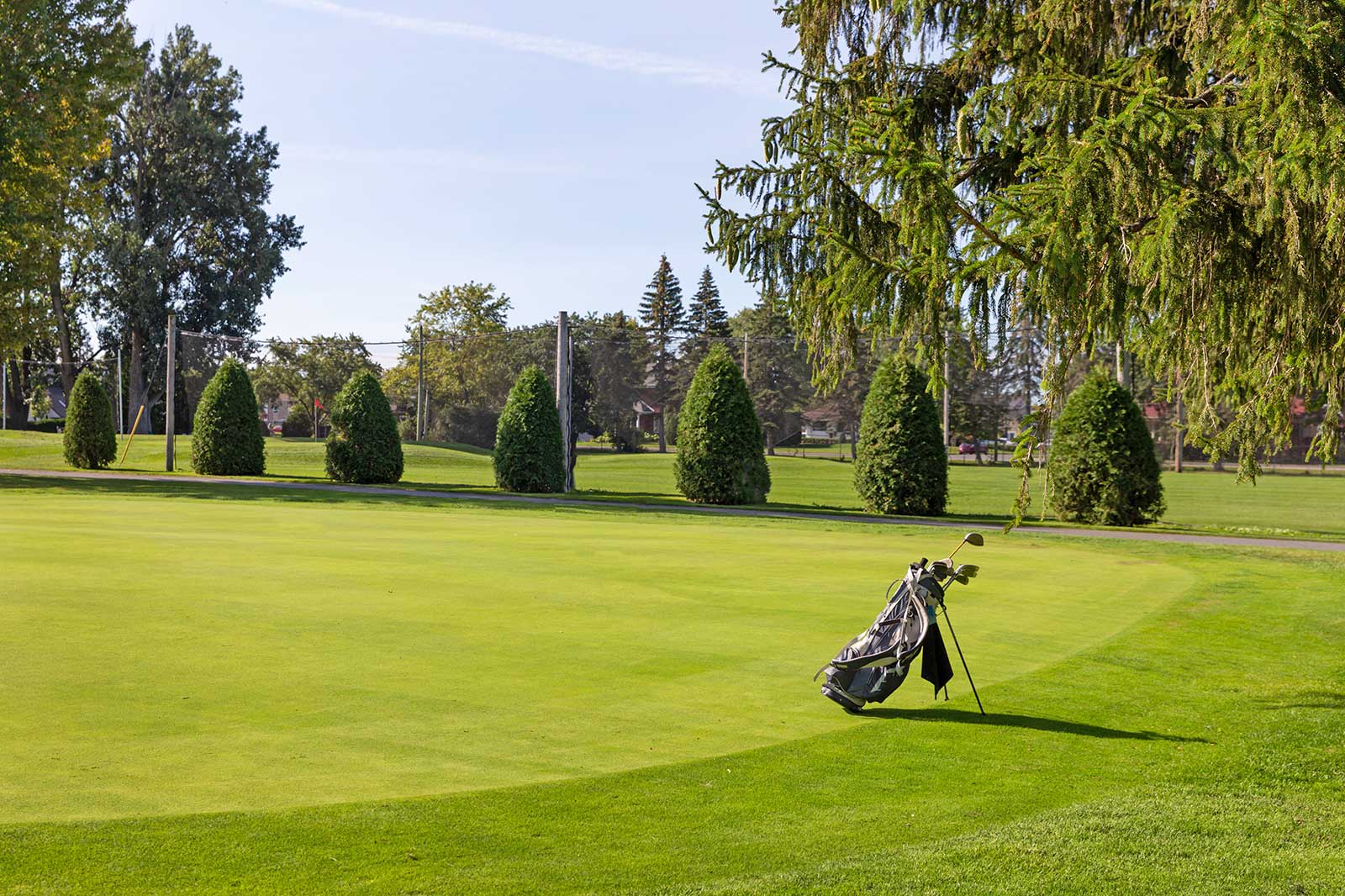Golf clubs on a well manicured green. 