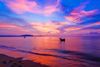 Best Nightlife in Mui Ne
