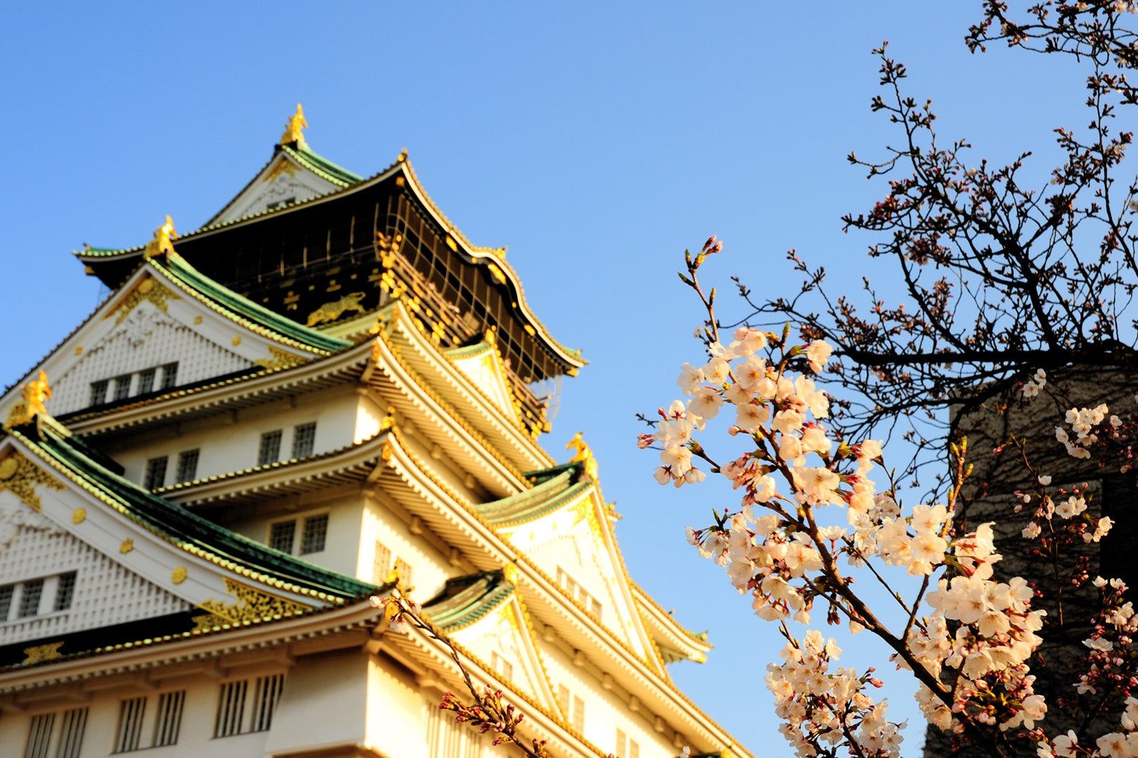 오사카 혼자 여행 호텔