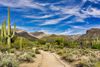 Saguaro National Park