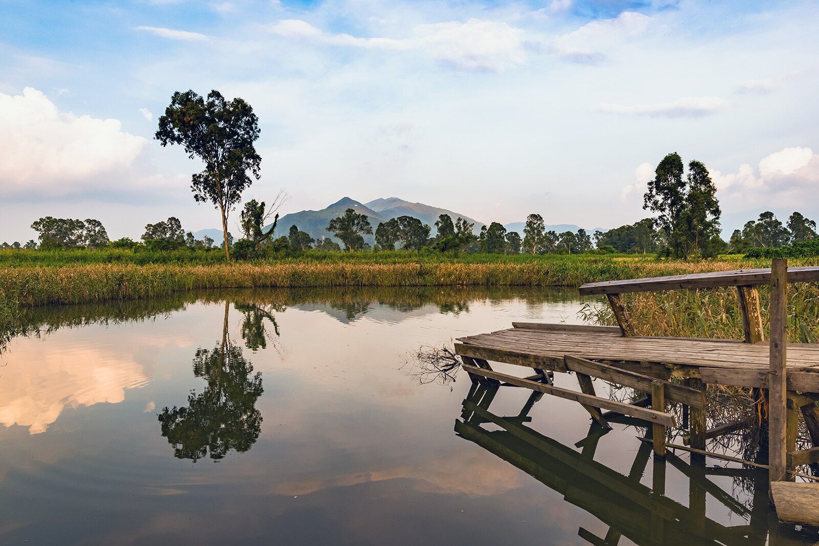 Things to Do in New Territories