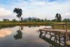 Things to Do in New Territories