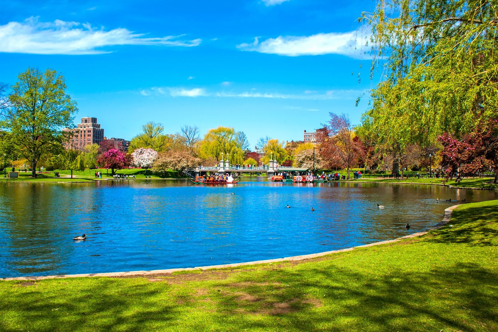 Things to Do with Your Family in Boston