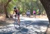 American River Bike Trail in Sacramento