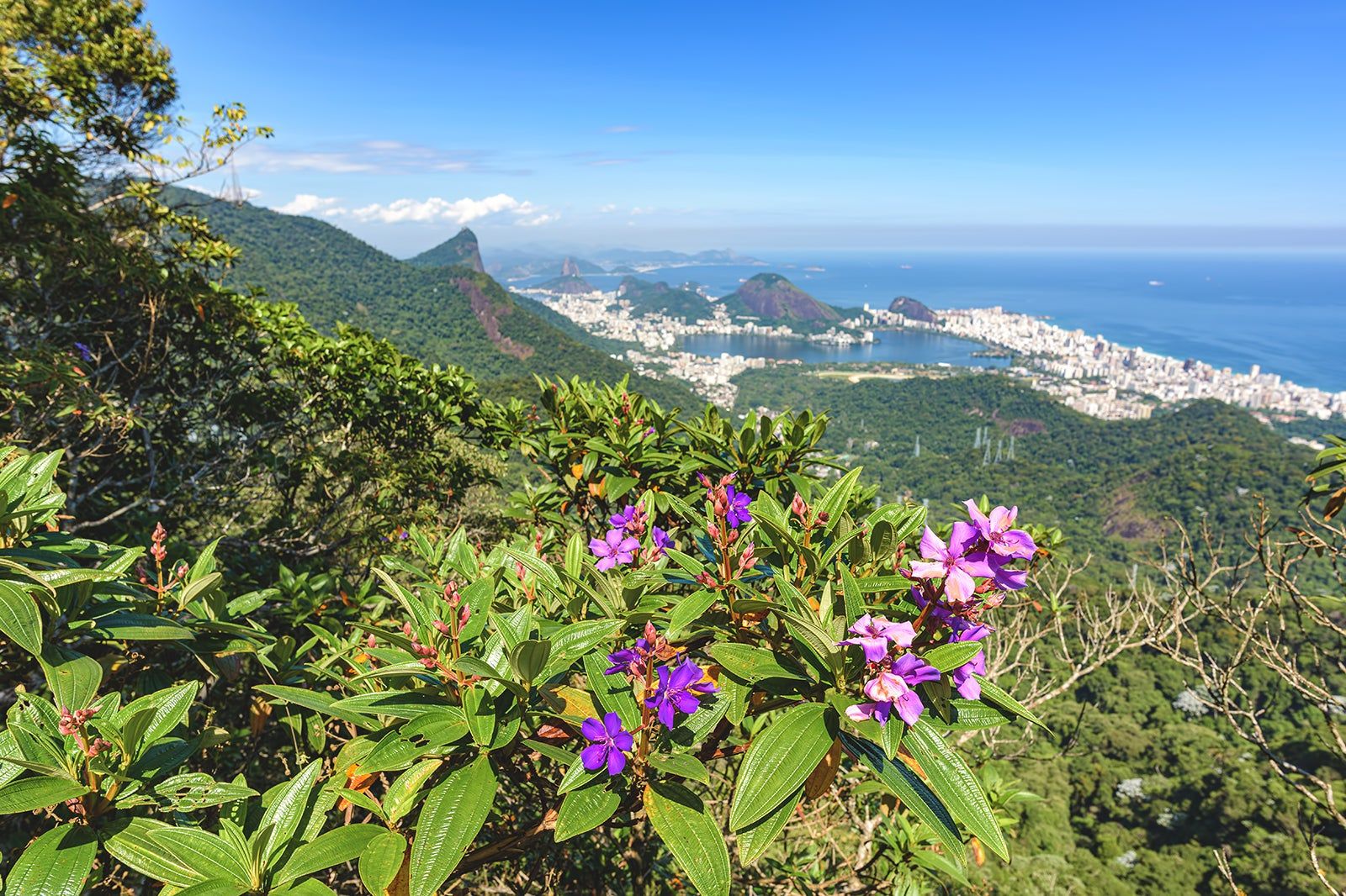 Parque Nacional da Tijuca no Rio de Janeiro