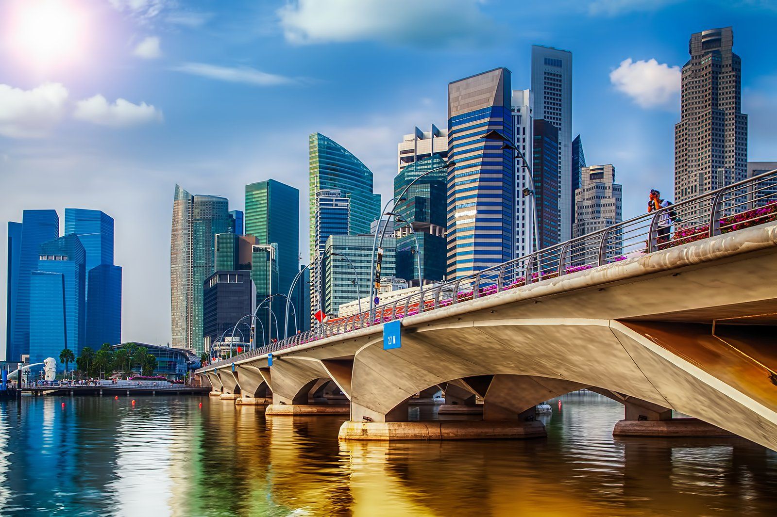 A Guide for the City Slicker in Singapore