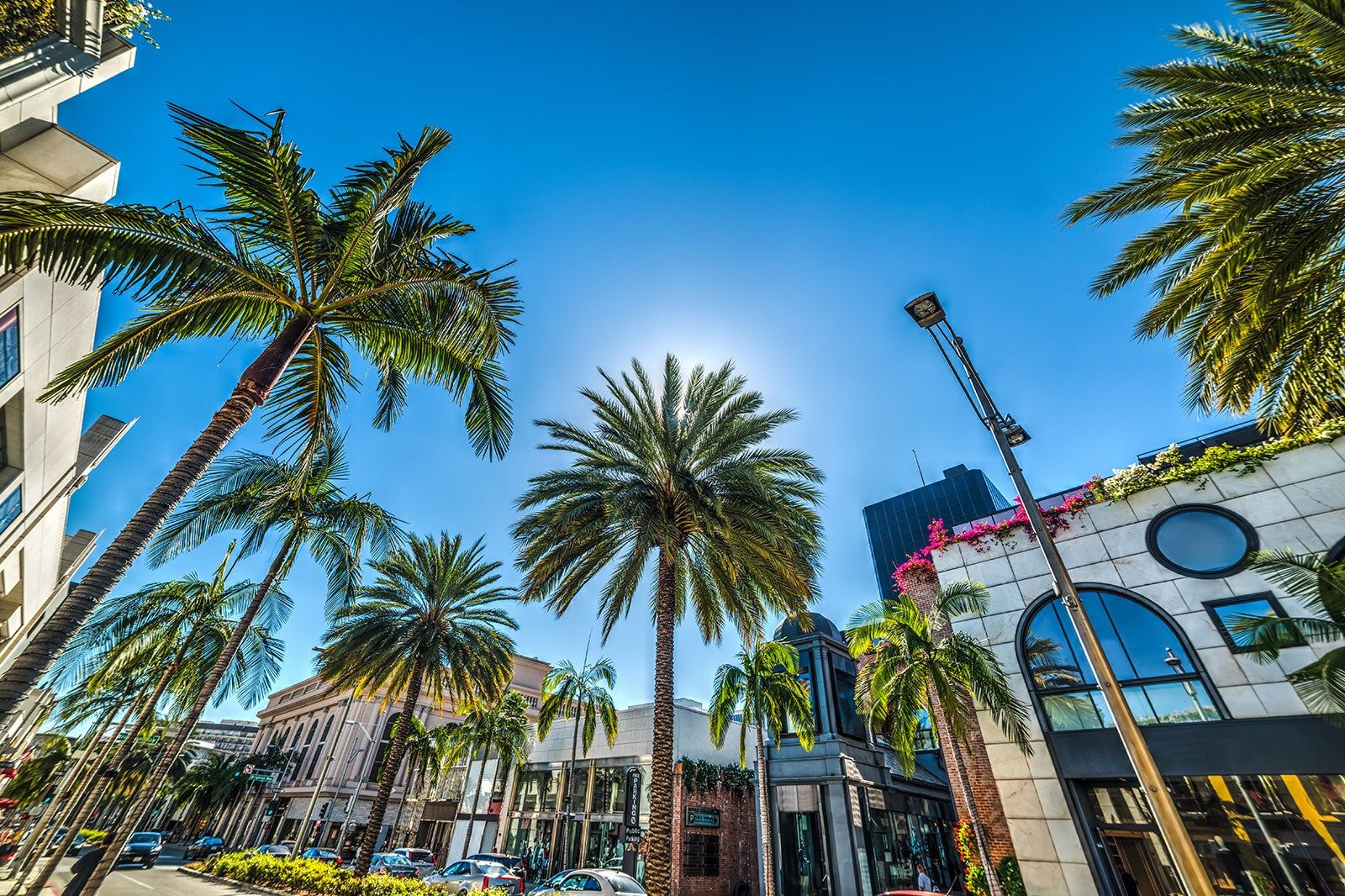 A street lined by palm trees.