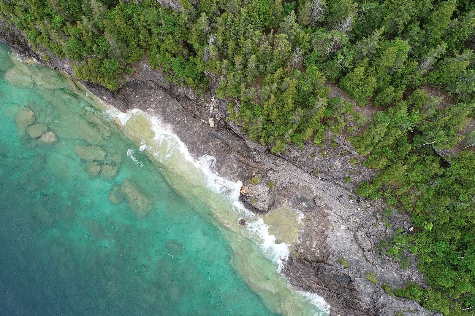 An above view of trees and rocky coastline. 