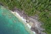 An above view of trees and rocky coastline.