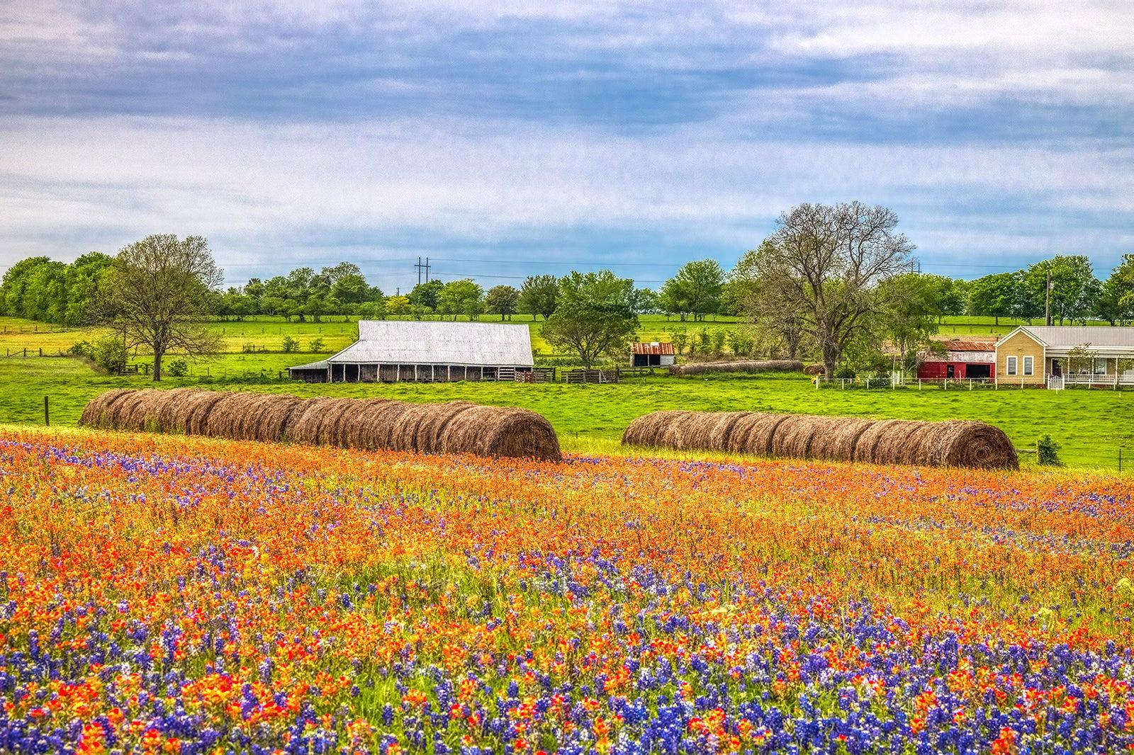 10 Best Road Trips near Houston