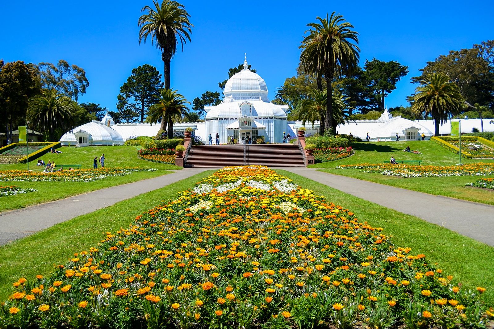 Things to Do in Spring in San Francisco