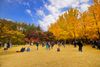 Nami Island