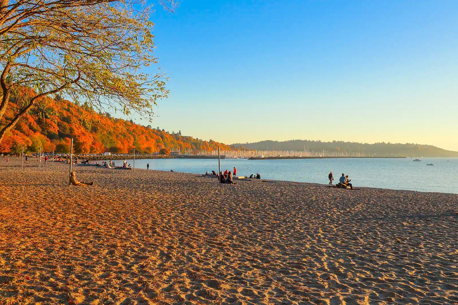 Free Things to Do in Seattle