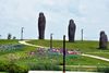 Paju.
