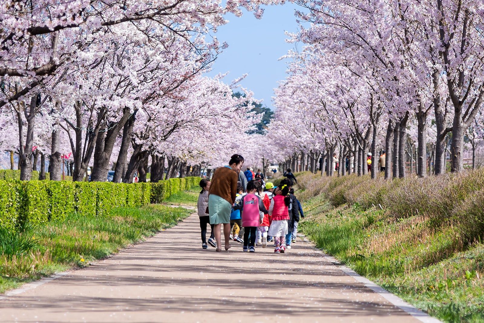 Best Family Spots in Gangneung