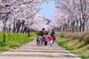Best Family Spots in Gangneung