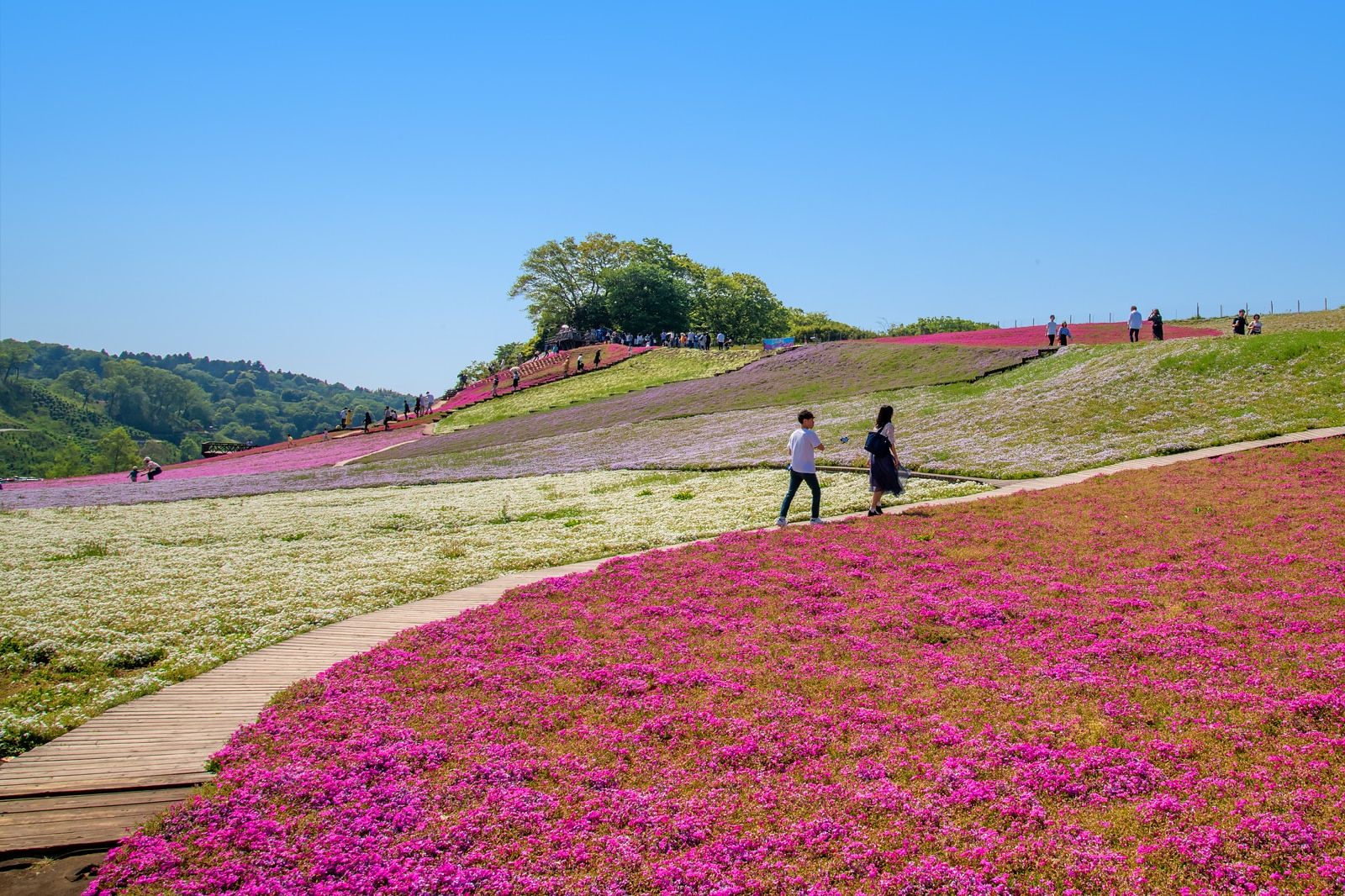 Best Things to Do for Couples in Chiba