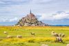 Francia