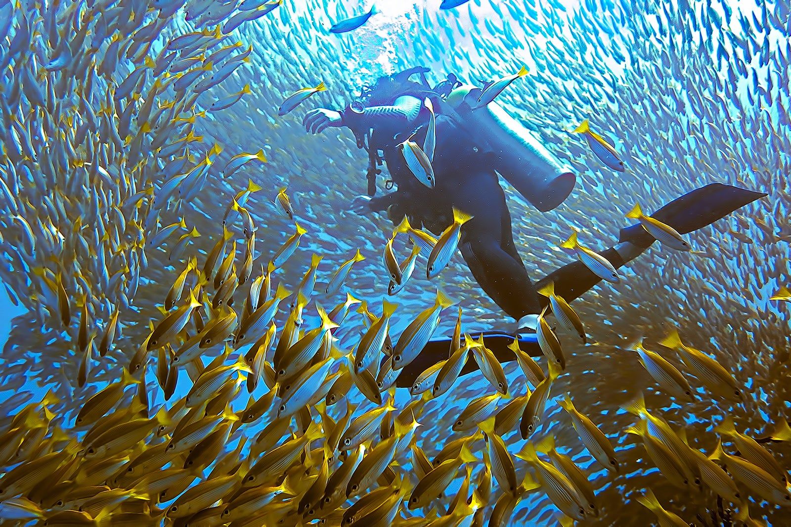 Koh Bida Nok & Koh Bida Nai - Phi Phi