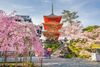 Best Temples to Watch Cherry Blossoms in Kyoto