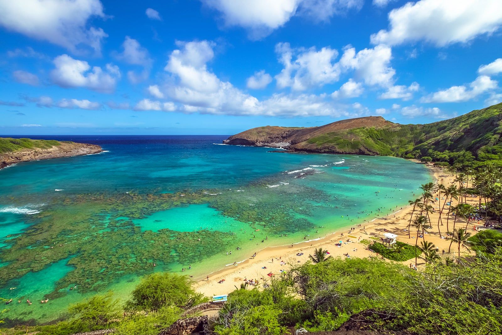 Hanauma Bay Lookout