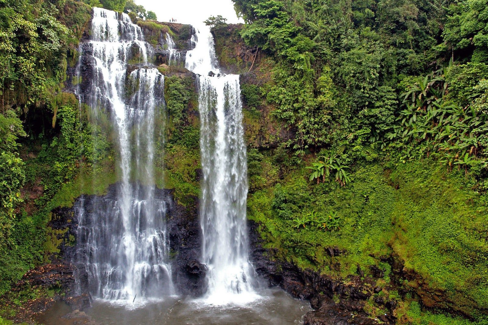 Bolaven Plateau in Champasak