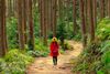 Japan's most popular hiking trails
