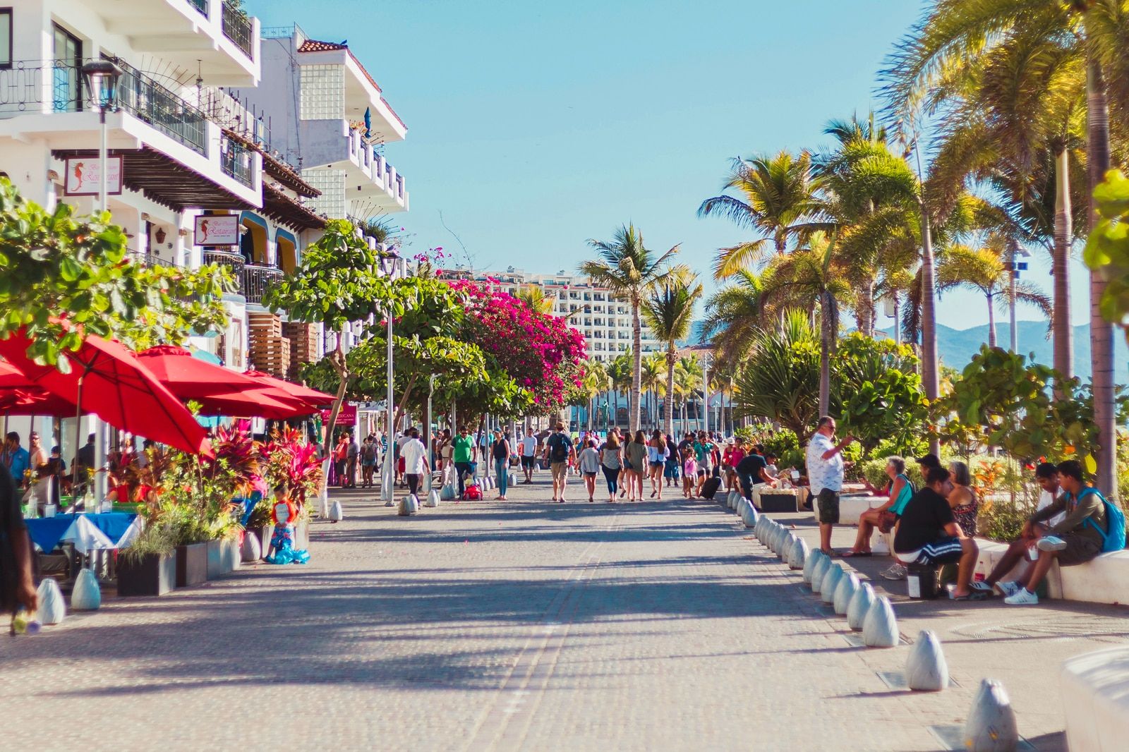 Best Things to Do in Puerto Vallarta on a Small Budget