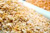 photo by <a href="https://pixabay.com/en/dried-shrimps-seafood-flavors-547701/" target="_blank" rel="noreferrer">cegoh</a> (<a href="https://creativecommons.org/share-your-work/public-domain/cc0/" target="_blank" rel="noreferrer">CC0</a>) modified