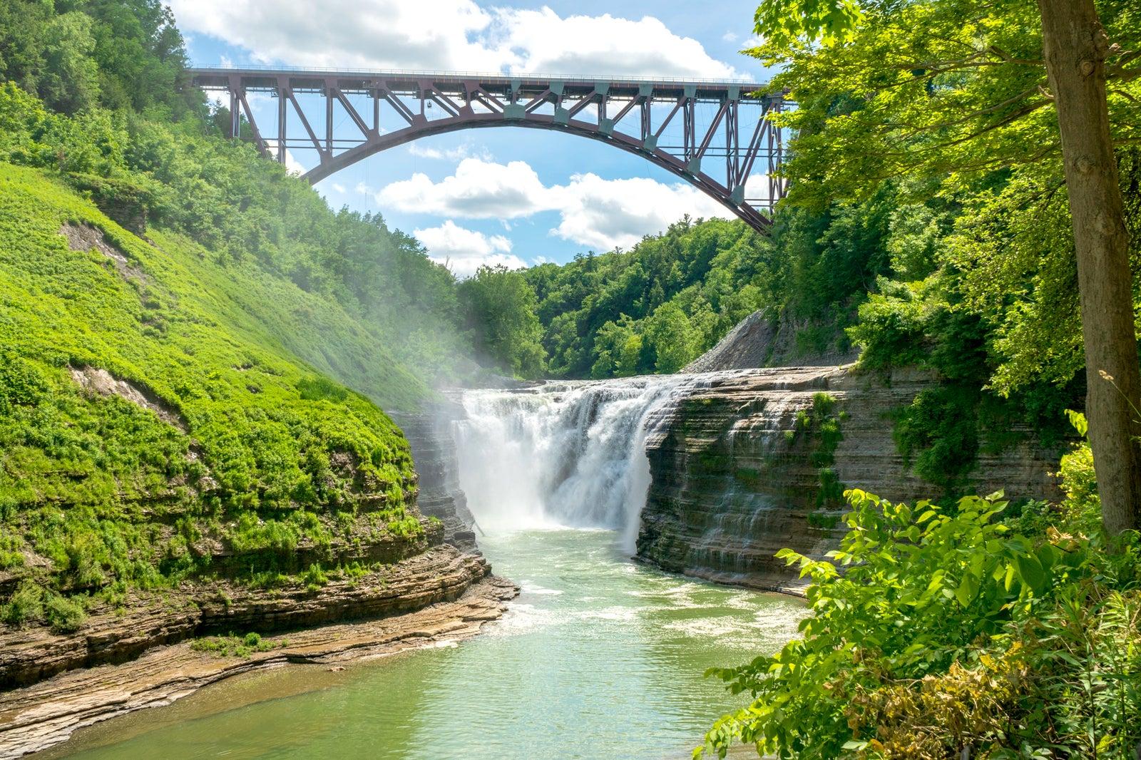 Best Things to Do for Family in Buffalo