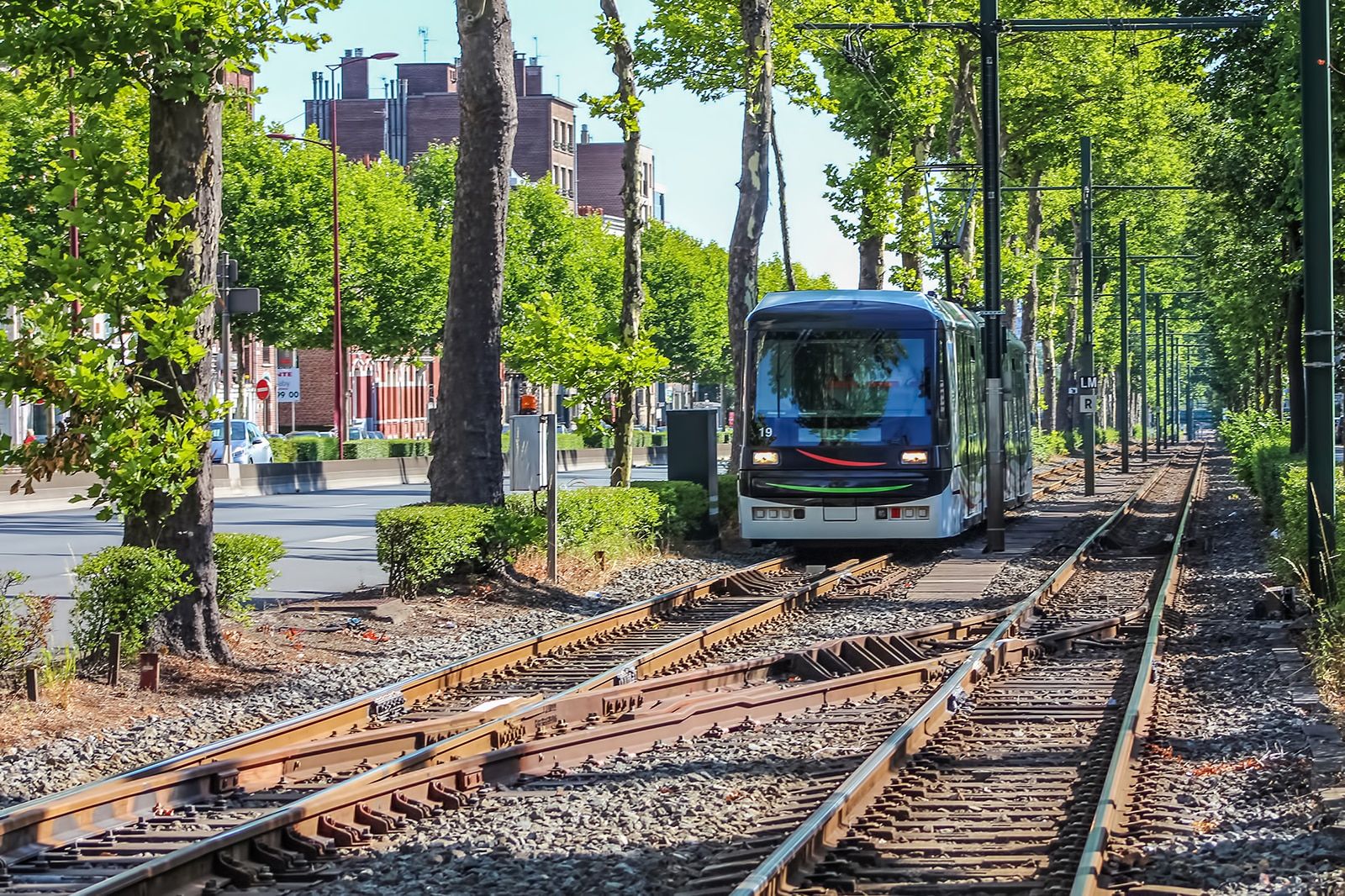 Lille Travel Essentials