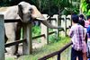 Phnom Tamao Zoo near Phnom Penh