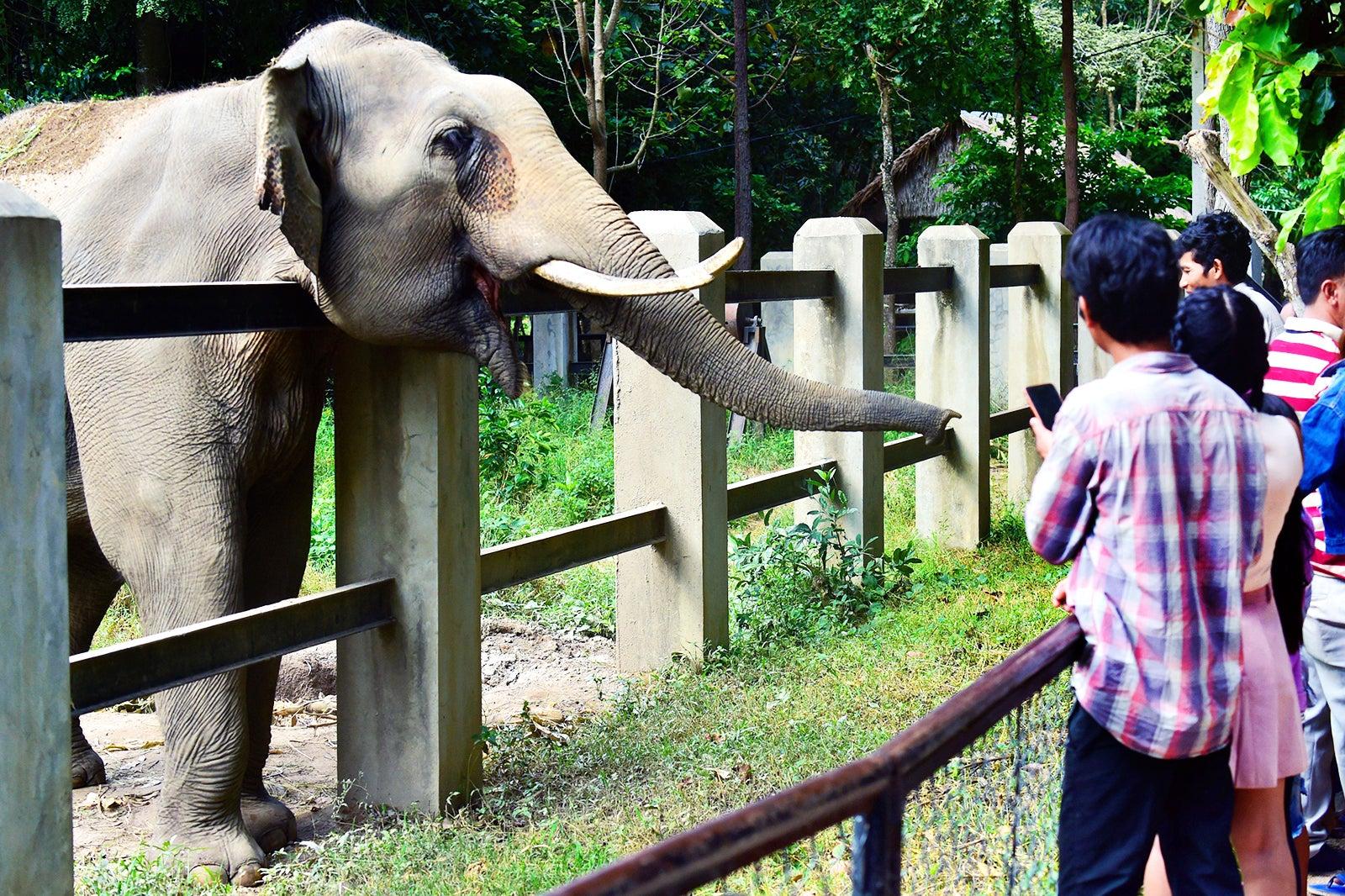 Phnom Tamao Zoo near Phnom Penh