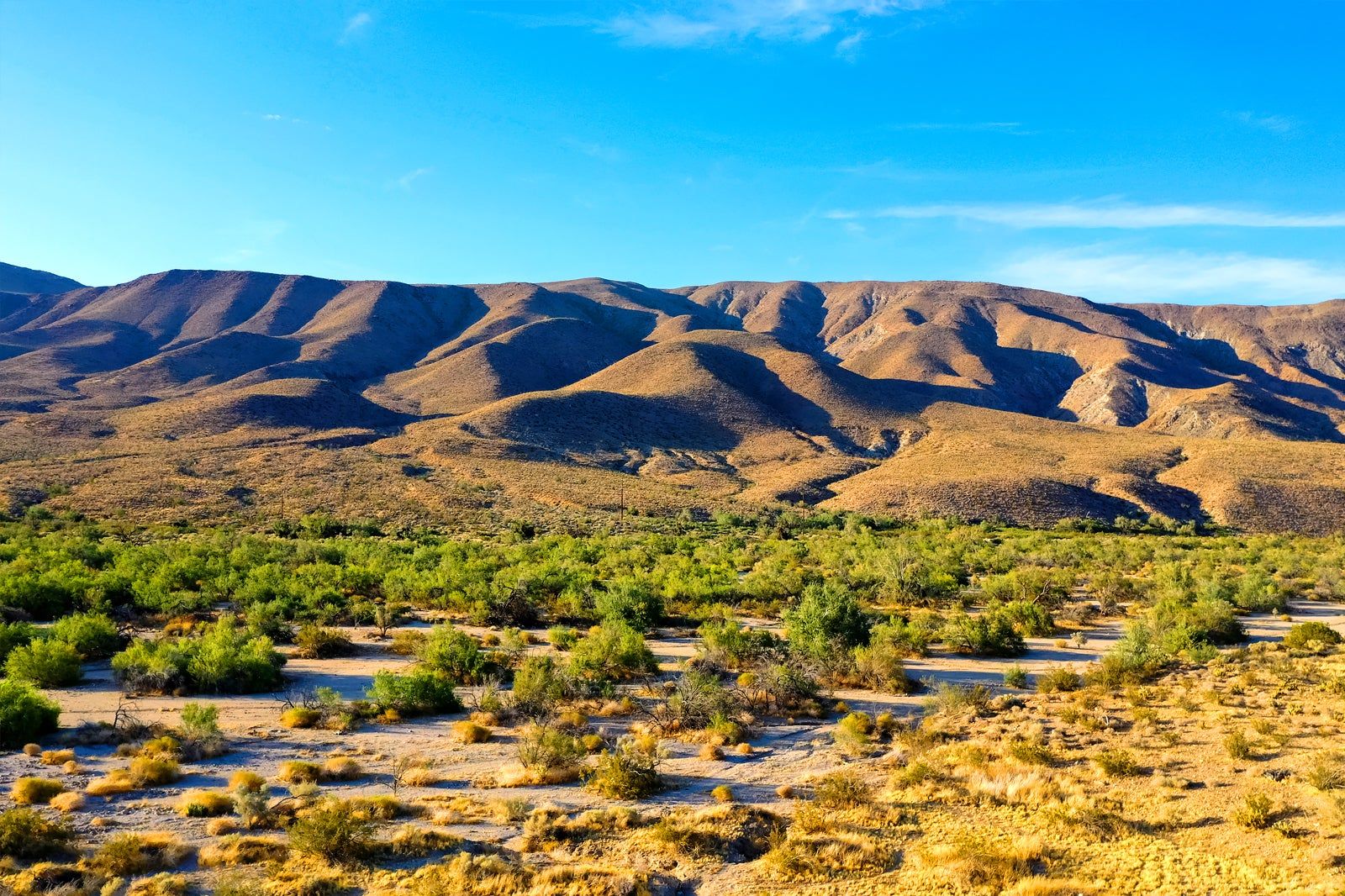 Anza-Borrego Desert State Park near San Diego