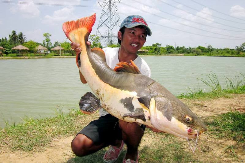 Amazon BKK Fishing Park