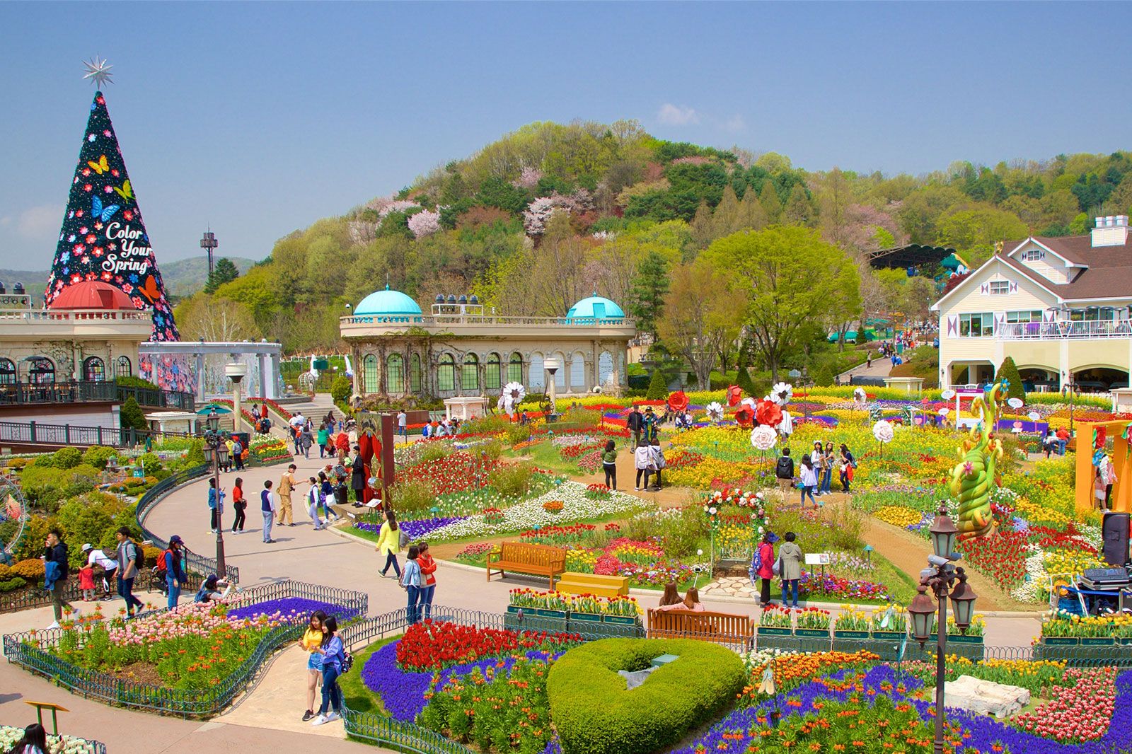 A colorful flower garden at a theme park.