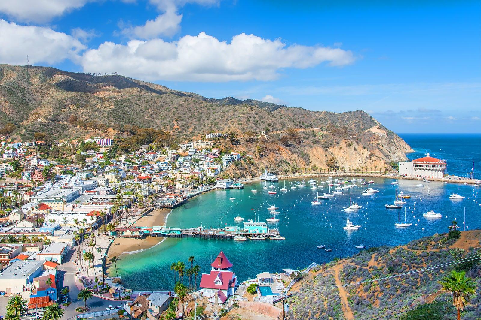 Best Things to Do on Catalina Island