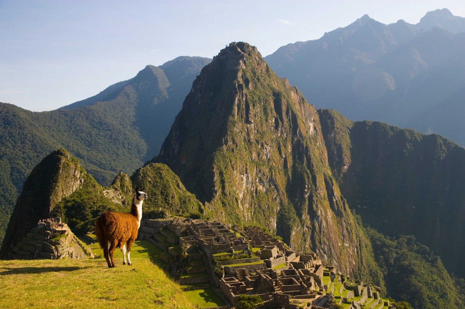 Machu Picchu 