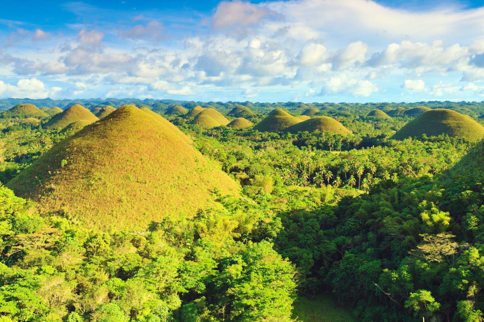 The Chocolate Hills in Bohol Island