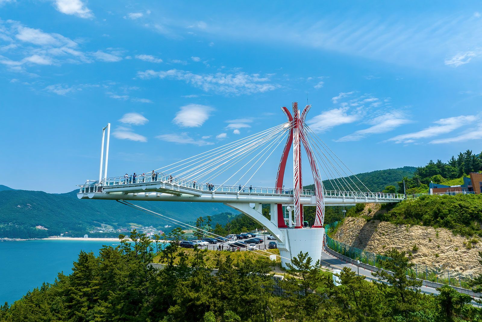 An observatory with cable and pilar Nover a jungle and the sea view.