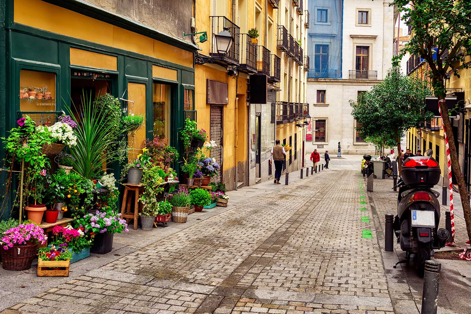 Colourful houses lining a cobbled street.