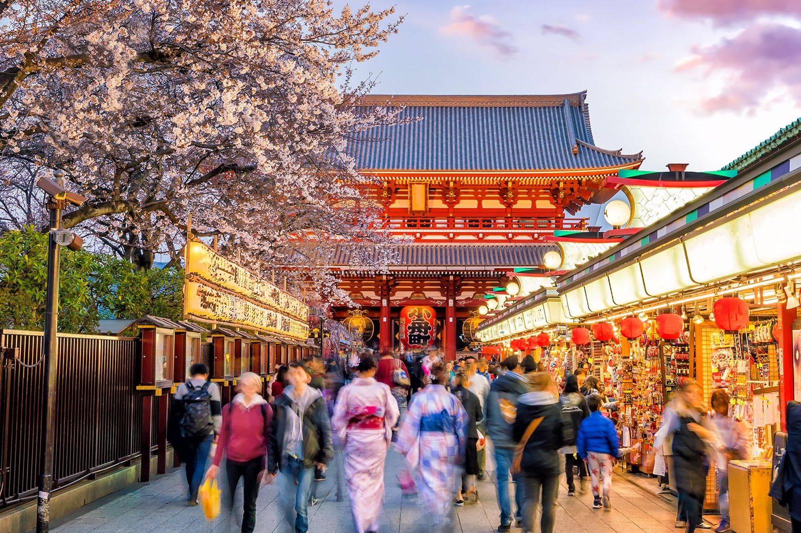 Most Popular Tourist Sites in Tokyo