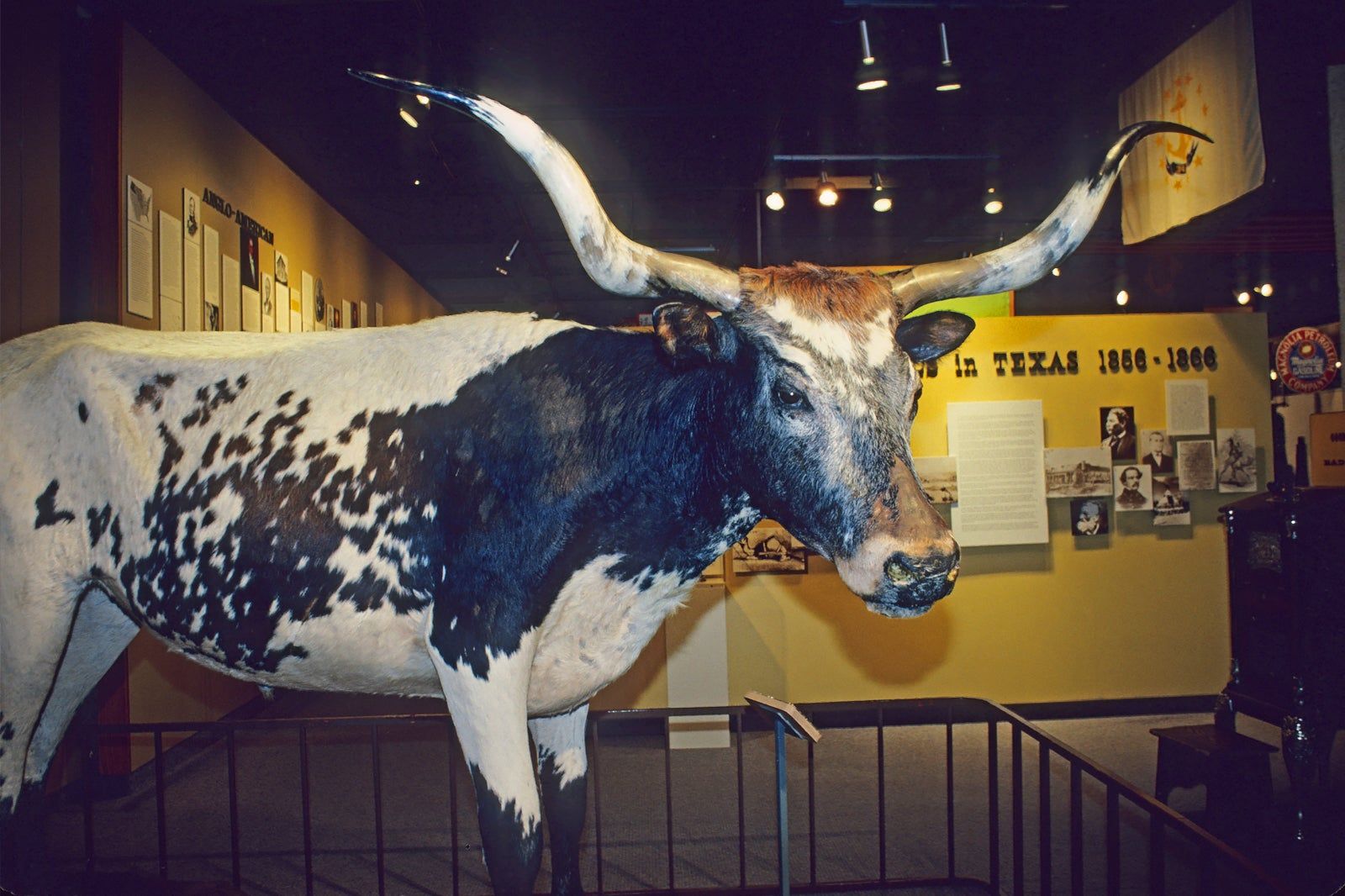 UTSA Institute of Texan Cultures in San Antonio