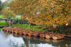 Dedham Vale in Essex