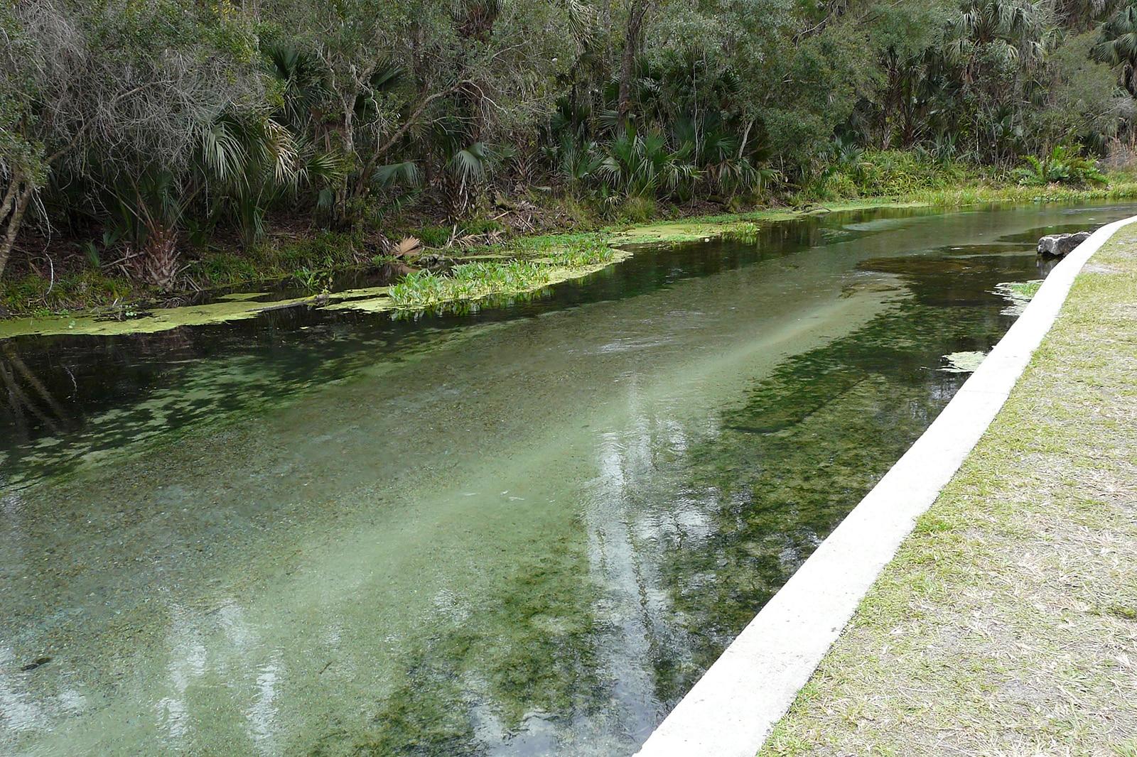 Kelly Park