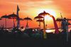 Bali Nightlife