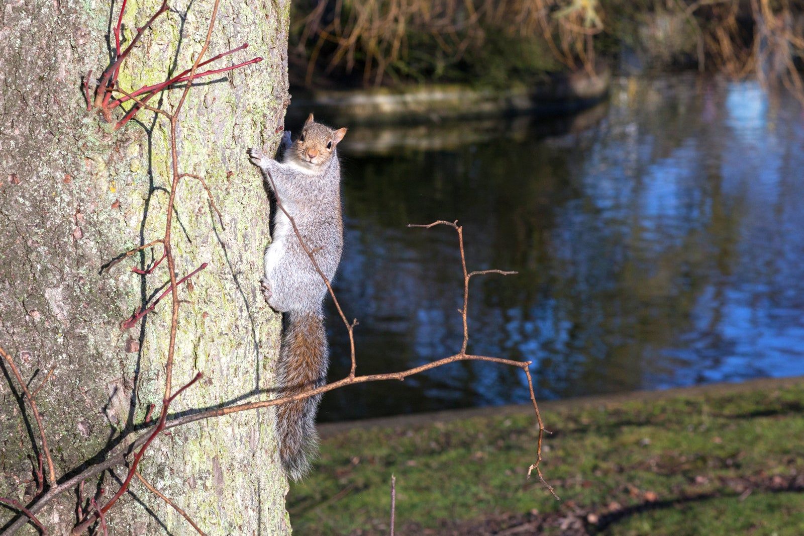 Birmingham Wildlife Conservation Park