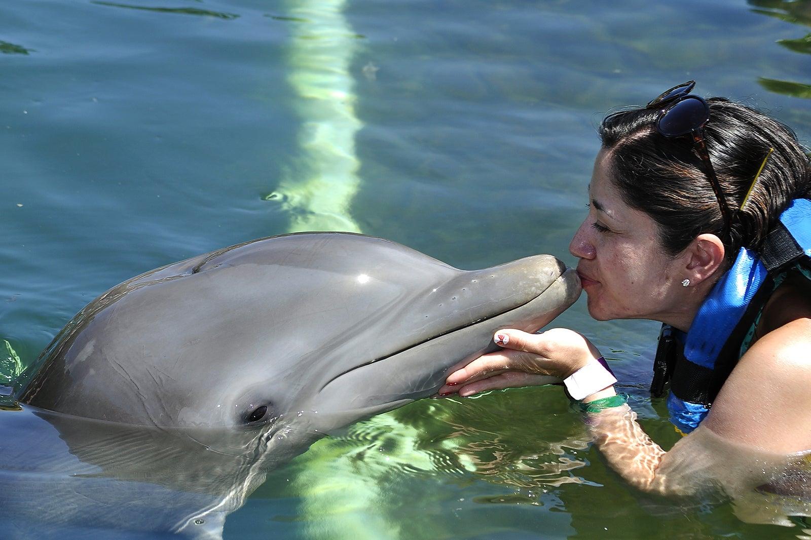 Interactive Aquarium of Cancun