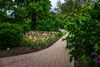 A path leading through a park with greenery
