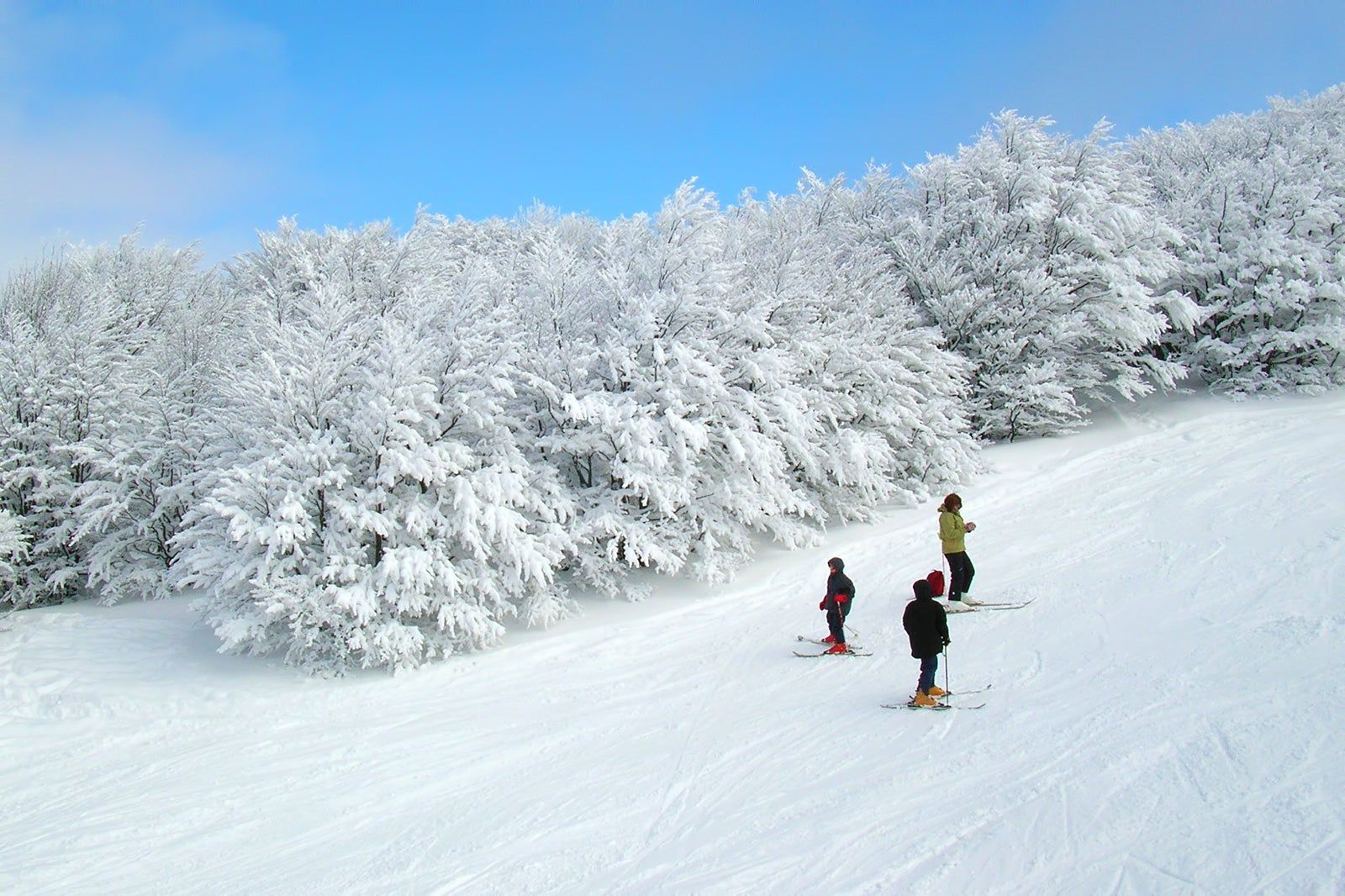 The 10 best ski resorts in the Vosges